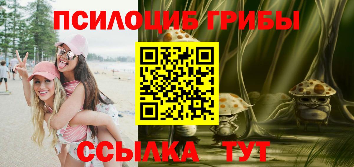Галлюциногенные грибы Cubensis  Галлюциногенные грибы Cubensis  Красноармейск  Вход с VPN 