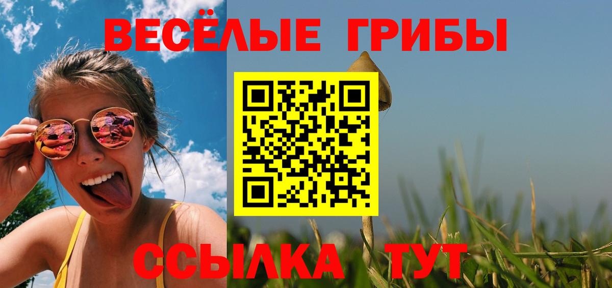 Галлюциногенные грибы ЛСД Красноармейск